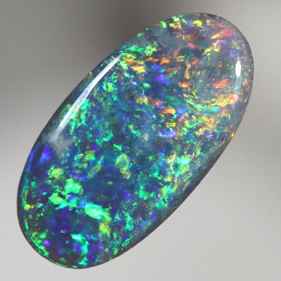 SOLID BLACK OPAL Bright Floral Harlequin pattern